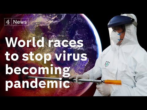 coronavirus-has-'pandemic-potential',-says-world-health-organisation