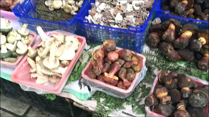 Wild edible fungi A bite of Yunnan - DayDayNews