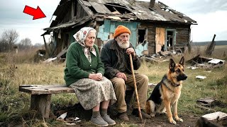 картинка: Брошенные детьми — пожилая пара превратила разрушенную горную хижину в рай