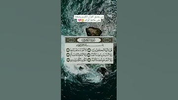 🍁🌹 راحة نفسية 🌹🍁 سورة الكافرون بصوت هادئ #CapCut #اكتب_شي_توجر_عليه #قران_كريم_ارح_سمعك_وقلبك