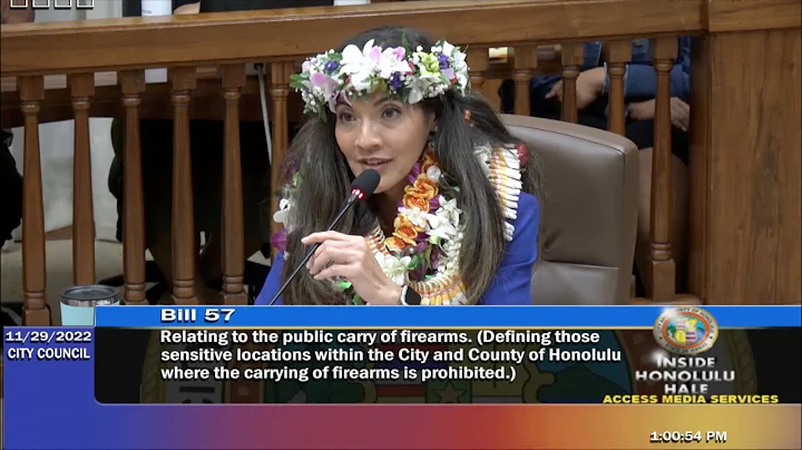 Val Okimoto First Day Votes Against 2nd Amendment ...