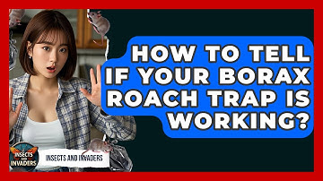 How To Tell If Your Borax Roach Trap Is Working? - Insects and Invaders