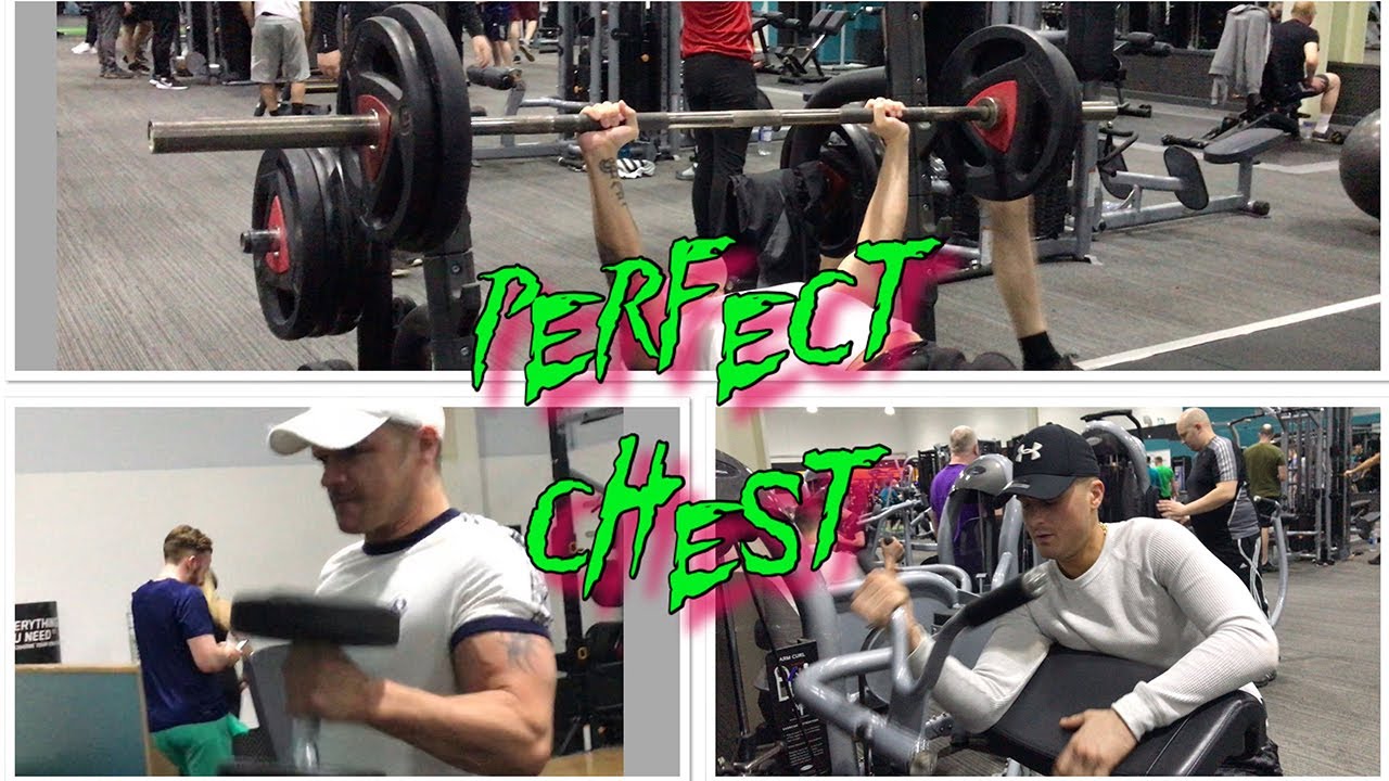 Perfect Chest and Bicep workout for MASS!!! YouTube