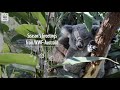 Season&#39;s Greetings from WWF-Australia | WWF-Australia