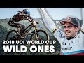 Best Of The Wild Ones UCI DH World Cup 2018