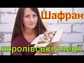 Шафран вирощування посадка догляд