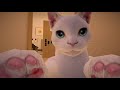 VrChat - Meow