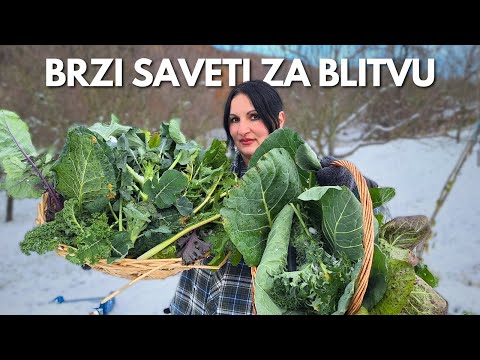 BLITVA - Brzi