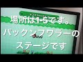 ニュースーパーマリオブラザーズU  【バグ】中間の旗を持つ方法！？