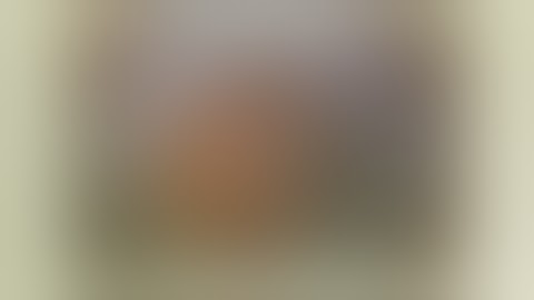 Fixation on "Capsule Fixation"