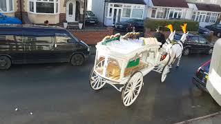 Traditional Horse Drawn Hearse And Carriage Funeral