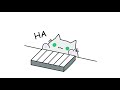 Keyboard Cat #shorts