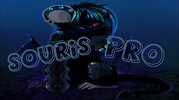 Souris PRO En Transformice - ZhikomarkoOfficial