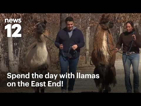 The East End - YouTube