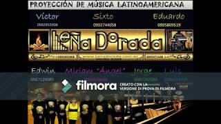 Video thumbnail of "Primor de Chola_Leña Dorada"