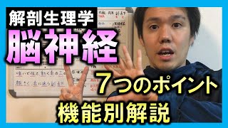 【基礎から勉強・解剖生理学】脳神経【理学療法士・作業療法士】