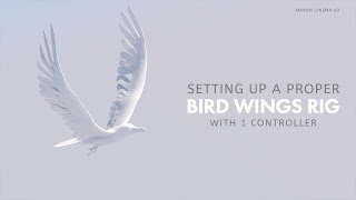 Cinema 4D | Setting up a Proper bird wings Rig || 1 controller for animation