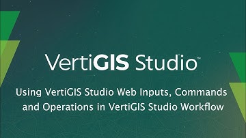 Using VertiGIS Studio Web Inputs, Commands, and Operations in VertiGIS Studio Workflow