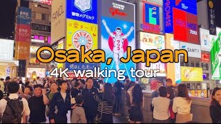 Osaka's Dotonbori Street | A Food Lover's Dream Come True