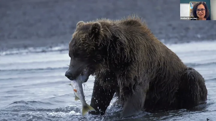 The Conservation Physiology of Predators, Prey, and People in Changing Ecosystems by Heather Bryan