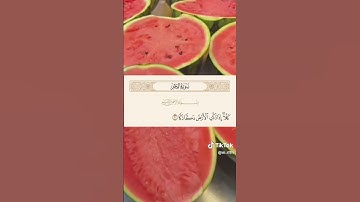 احترم القرآن يا صديقي وانشره فالدال على الخير كفاعله #احترم_القرآن #احترم #آيات #انشرو_القران #لايك