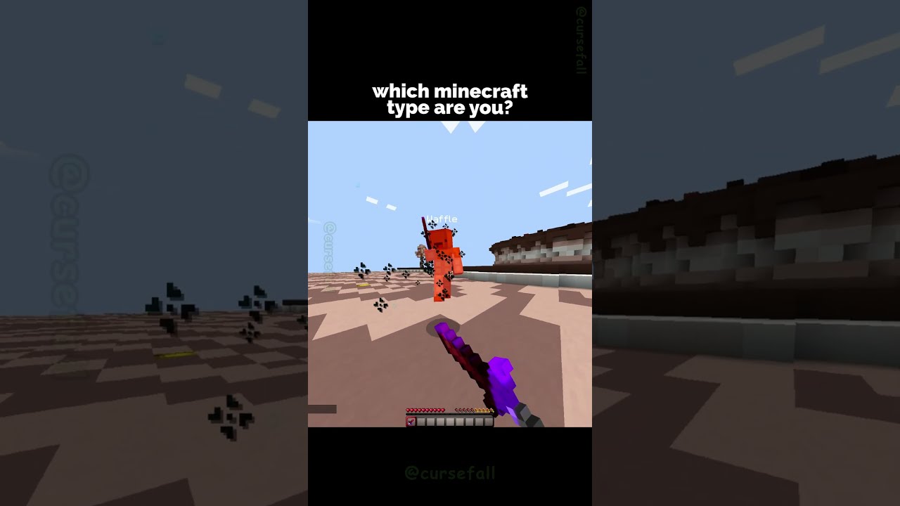 What Type Of Minecraft Player Are YOU 