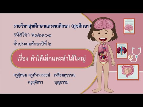 เรียนออนไลน์ย้อนหลัง DLTV ป.2 สุขศึกษาและพลศึกษา - ลำไส้เล็กและลำไส้ใหญ่ 16 ก.ค. 64