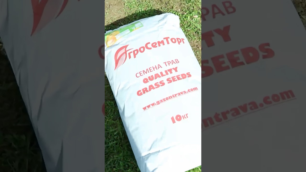 Я нашел лучшие семена для идеального газона на даче 
