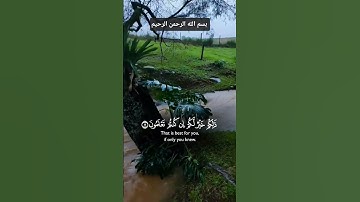 #آيات بينات من الذكر الحكيم. #سورة_الصف #بصوت_الشيخ_فارس_عباد.    #اكسبلور