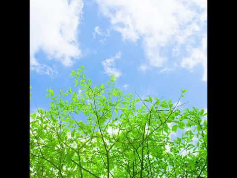 歌ってみた 「みんながみんな英雄」