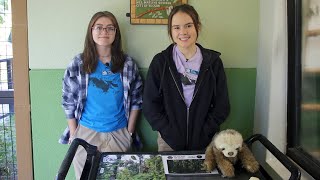 Learn About Sloths From Teen Volunteers Bella and Maddy