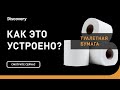 Туалетная бумага | Как это устроено | Discovery