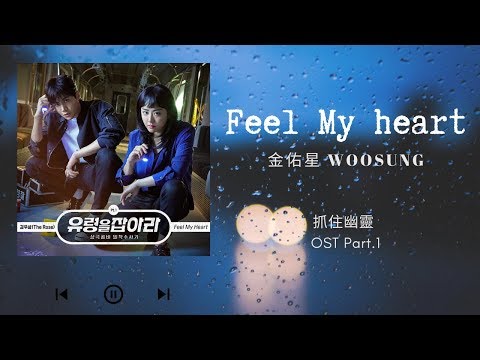【韓繁中字】金佑星 ( WooSung / 김우성 ) - Feel My heart [ 抓住幽靈 OST Part 1 ]