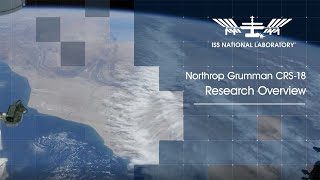 NG-18 Research: Overview