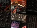 JAM chilled ambient  #modular #electronicmusic #moog #mother32 #black sequencer