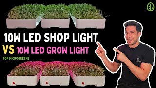 Microgreen Lighting: 10W Shop Light vs. 10W Grow Light for Broccoli Microgreens | On The Grow