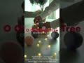 크리스마스 오너먼트 장식하고 조명 달기~ (christmas tree decoration)