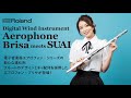 Roland Aerophone Brisa サウンド・デモ by SUAI