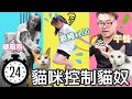 【挑戰】貓咪控制貓奴24小時挑戰[NyoNyoTV妞妞TV]