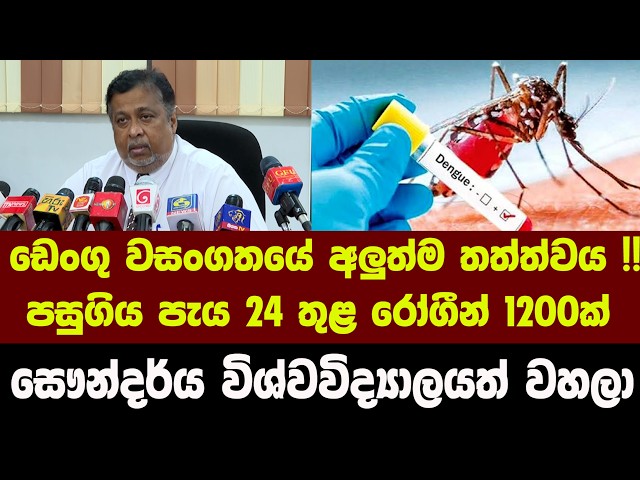 ඩෙංගු වසංගතයේ අලුත්ම තත්ත්වය !! පසුගිය පැය 24 තුළ රෝගීන් 1200ක්
