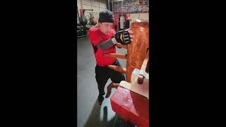 Boxing Dummy 04-CLose in Boxing around the Dummy Arms