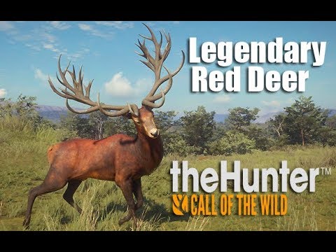 Optagelsesgebyr flertal tvetydig Diamond Red Deer Hunt | The Hunter Call Of The Wild - YouTube