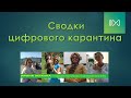 Страны бренды/рост мягкой силы России/китайские цифровые базары/смешная стоимость мобильной связи