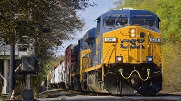Shiny CSX ES40DC Leads M368