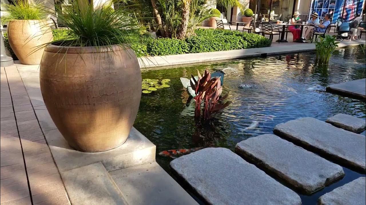 Page 6 of Koi Pond, Fashion Island pictures