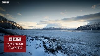 Что можно купить на деньги, за которые Россия продала Аляску?