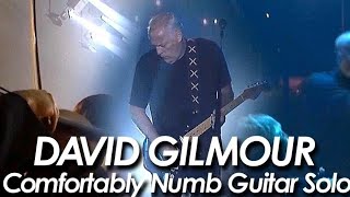 "David Gilmour" 2011' "Comfortably Numb"