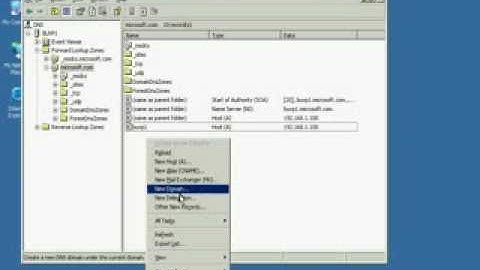 Windows Server 2003- Configuring DNS server
