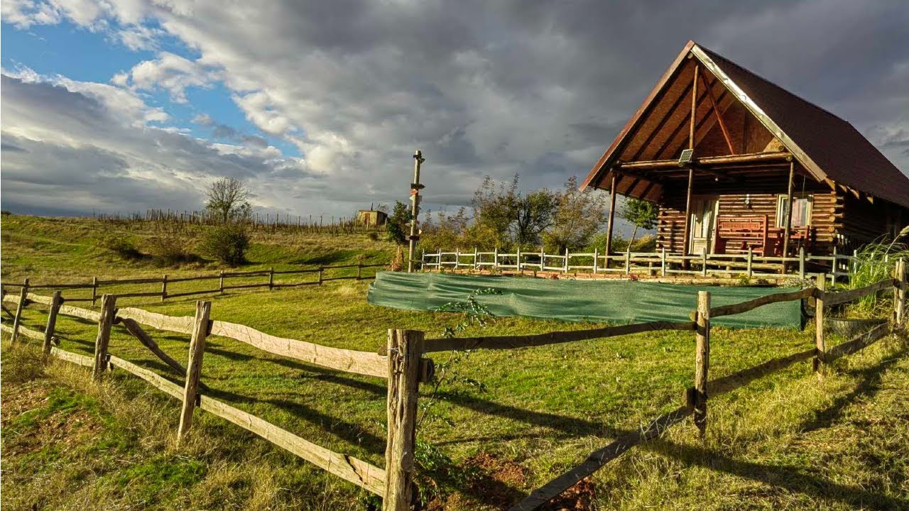 View of The Comprehensive Guide to Off-Grid Houses - EcoHome