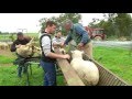 Lamb Lifter & Sheep Handler- Roberson Pregnancy Scanning